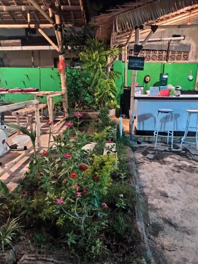 Robiu Homestay Banyuwangi  Exterior foto